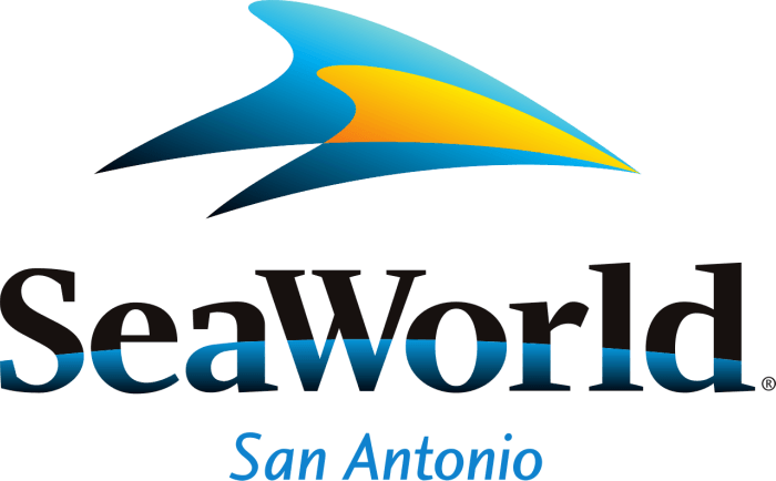Affordable Carpet Cleaning Services San Antonio TX Carpet Cleaning Services San Antonio TX